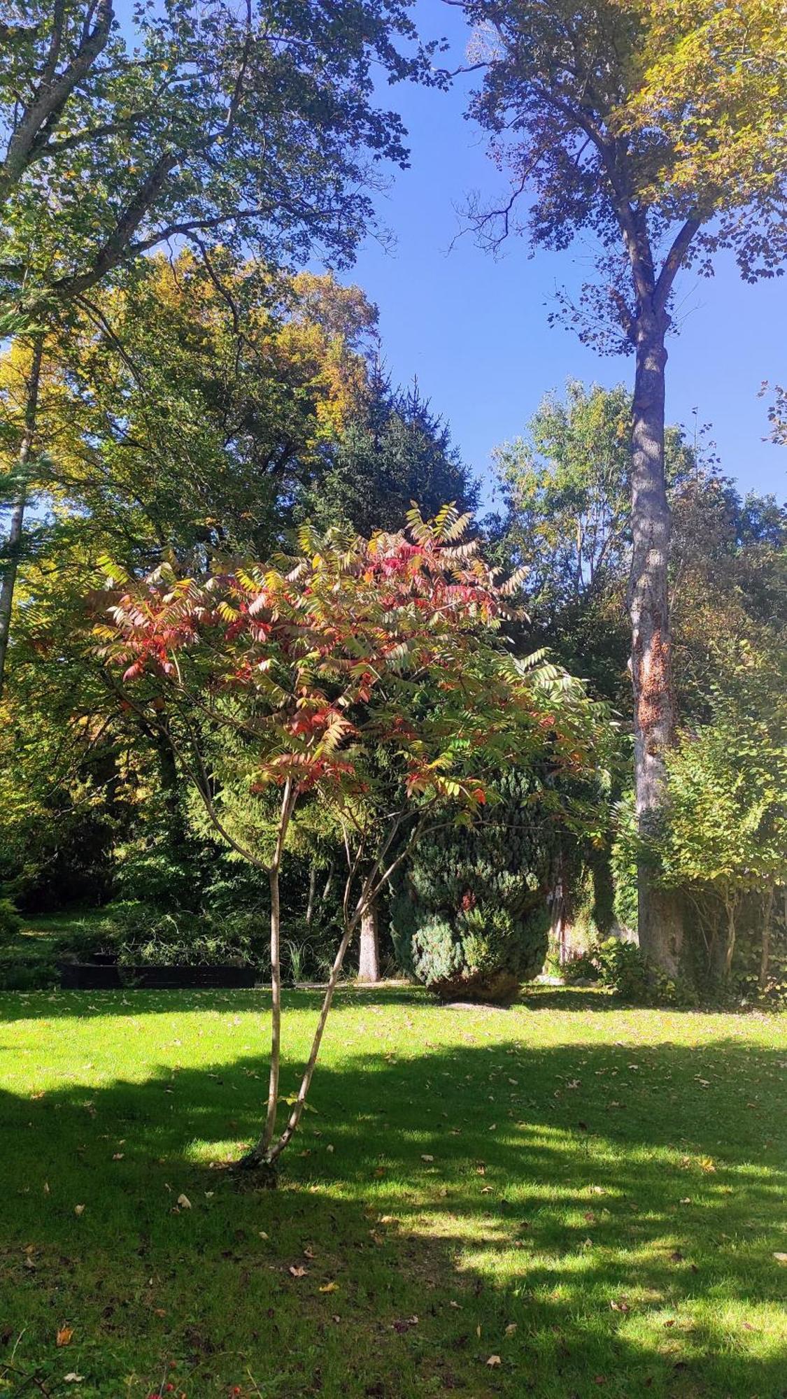 Bed and Breakfast Pavillon C.R Isles-sur-Suippe Exterior foto